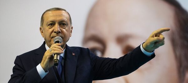Erdoğan AKP Denizli - Sputnik Türkiye