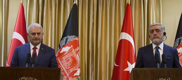 Başbakan Binali Yıldırım - Sputnik Türkiye