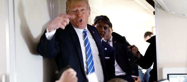 ABD Başkanı Donald Trump - Sputnik Türkiye