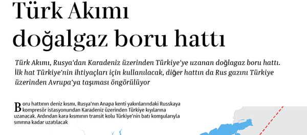 İnfografik - Sputnik Türkiye