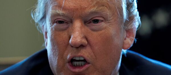 Donald Trump Beyaz Saray Suriye kimyasal konulu kabine toplantısı 9 Nisan 2018 - Sputnik Türkiye