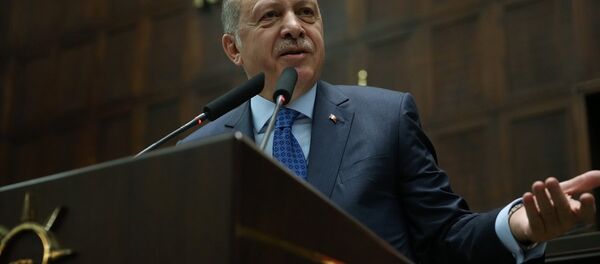 Cumhurbaşkanı Recep Tayyip Erdoğan - Sputnik Türkiye