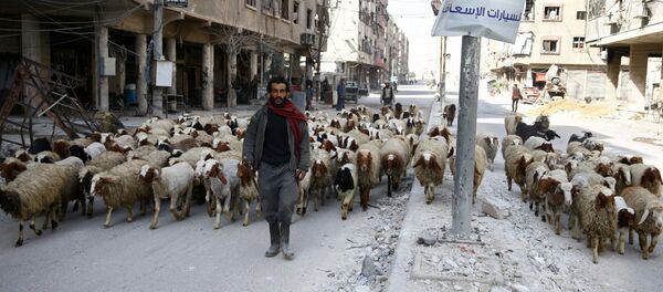 Şam Doğu Guta Duma 11 Mart 2018 - Sputnik Türkiye