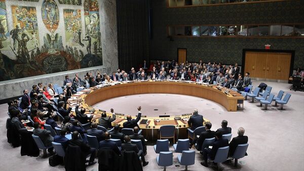 Birleşmiş Milletler Güvenlik Konseyi'nde (BMGK) - Sputnik Türkiye