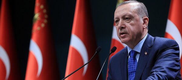 Cumhurbaşkanı Recep Tayyip Erdoğan - Sputnik Türkiye