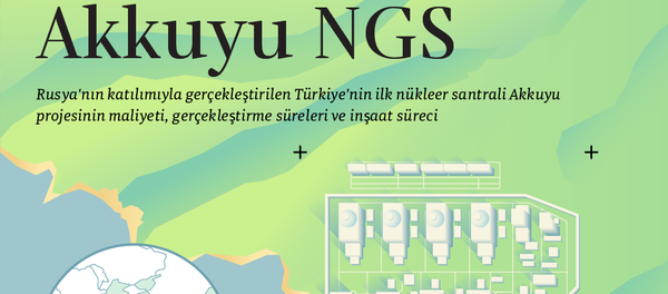 İnfografik - Sputnik Türkiye