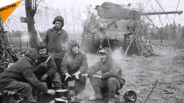 2. Dünya Savaşı’ndan kalma Sherman tankı - Sputnik Türkiye