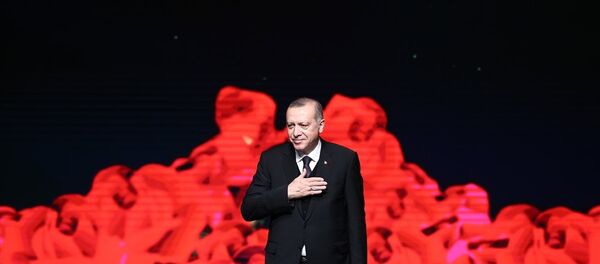Cumhurbaşkanı Recep Tayyip Erdoğan - Sputnik Türkiye