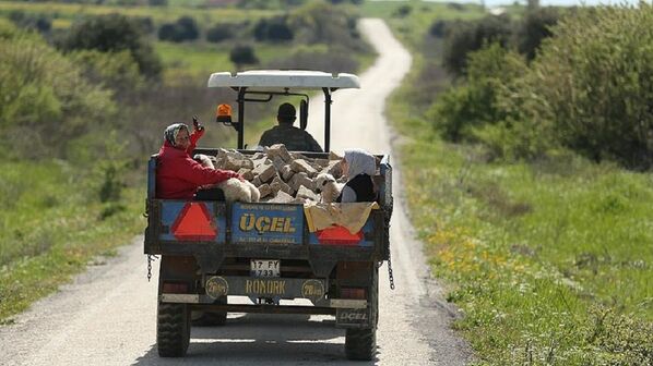 Ege'de bir Karadeniz köyü - Sputnik Türkiye