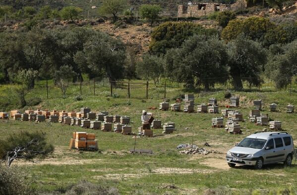 Ege'de bir Karadeniz köyü - Sputnik Türkiye