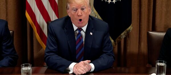 ABD Başkanı Donald Trump, Suriye açıklaması, Beyaz Saray, 12 Nisan 2018 - Sputnik Türkiye