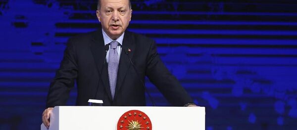Cumhurbaşkanı Recep Tayyip Erdoğan - Sputnik Türkiye