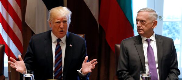 Donald Trump, James Mattis, Beyaz Saray, Baltık zirvesi, 3 Nisan 2018 - Sputnik Türkiye