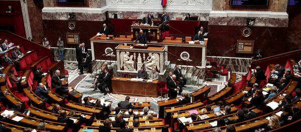 Fransa'da meclis Suriye operasyonunu tartıştı - Sputnik Türkiye