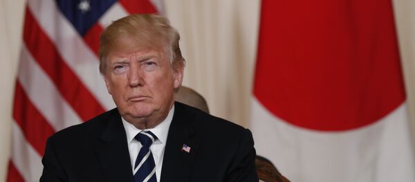 ABD Başkanı Donald Trump - Sputnik Türkiye