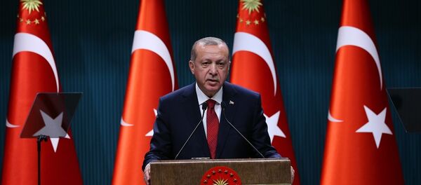 Cumhurbaşkanı Recep Tayyip Erdoğan - Sputnik Türkiye