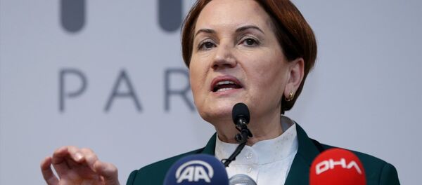 Meral Akşener - Sputnik Türkiye