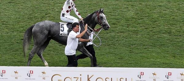 Gazi Koşusu - Sputnik Türkiye