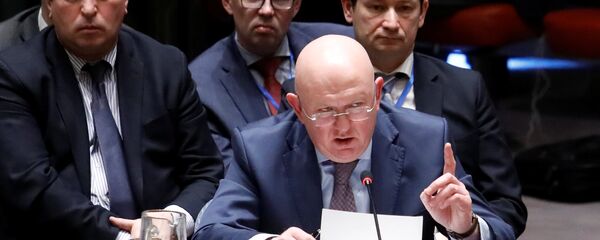 Rusya BM Daimi Temsilcisi Vasiliy Nebenzya - Sputnik Türkiye