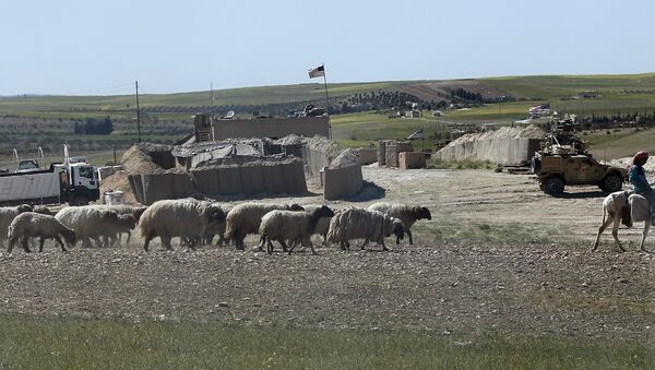 Menbiç'teki ABD üslerininin birinin önünden çoban sürüsünü güdüyor. Nisan 2018 - Sputnik Türkiye