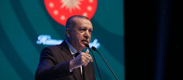 Cumhurbaşkanı Recep Tayyip Erdoğan - Sputnik Türkiye