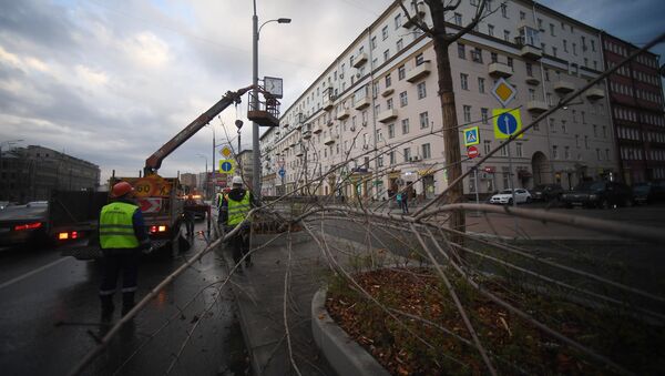 Consequences of the storm that hit Moscow on Saturday, April 21. - Sputnik Türkiye