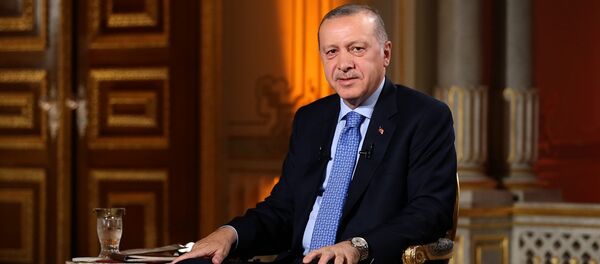 Cumhurbaşkanı Recep Tayyip Erdoğan - Sputnik Türkiye