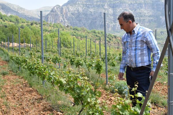 Chateau Wadih şarap imalathanesinin sahibi Piter Abi Unes Chateau Wadih şarap imalathanesinin sahibi Piter Abi Unes - Sputnik Türkiye