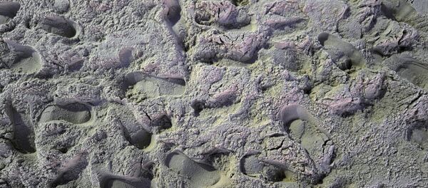 Kumsalda ayak izleri, Copacabana Plajı, Rio de Janeiro, Brezilya - Sputnik Türkiye