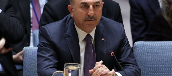 Mevlüt Çavuşoğlu - Sputnik Türkiye