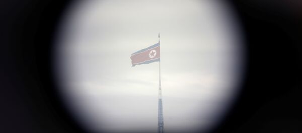 Kuzey Kore bayrağı - Sputnik Türkiye
