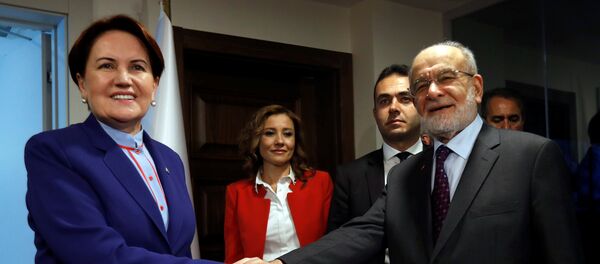 Meral Akşener, Temel Karamollaoğlu Meral Akşener, Temel Karamollaoğlu - Sputnik Türkiye