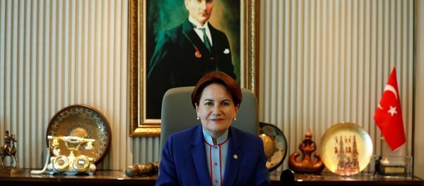 Meral Akşener - Sputnik Türkiye