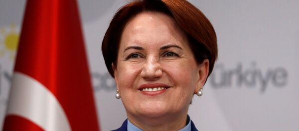 Meral Akşener - Sputnik Türkiye