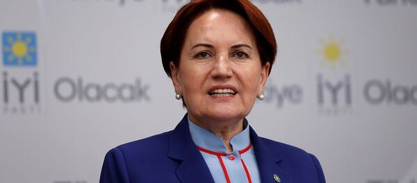 Meral Akşener - Sputnik Türkiye