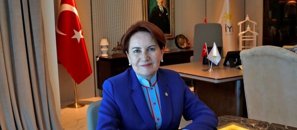 Meral Akşener - Sputnik Türkiye