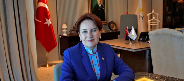 Meral Akşener - Sputnik Türkiye