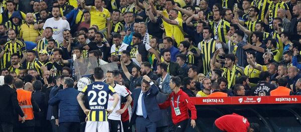 Fenerbahçe- Beşiktaş derbisi, Şenol Güneş - Sputnik Türkiye