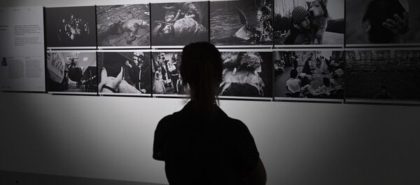 Andrey Stenin Fotoğrafçılık Yarışması - Sputnik Türkiye