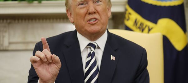 ABD Başkanı Donald Trump - Sputnik Türkiye