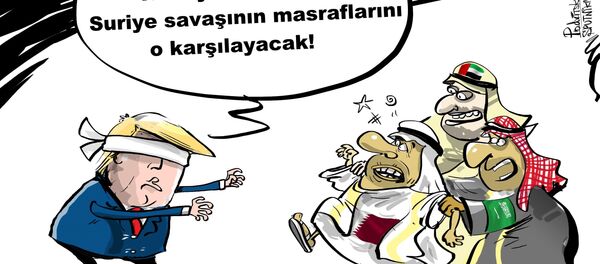 Karikatür - Sputnik Türkiye