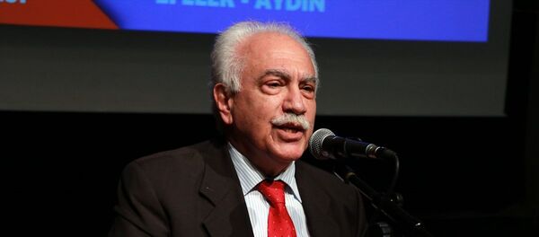 Doğu Perinçek - Sputnik Türkiye