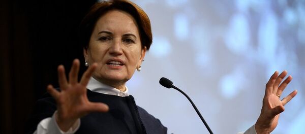 Meral Akşener - Sputnik Türkiye