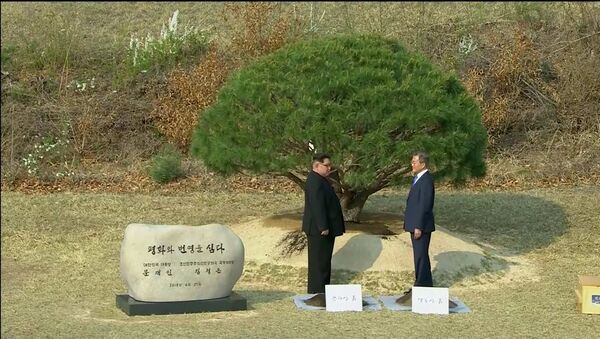 Güney Kore Devlet Başkanı Moon Jae-in ve Kuzey Kore lideri Kim Jong-un Panmunjom Ateşkes Köyü'ndeki ağaç dikme töreninde - Sputnik Türkiye