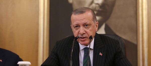 Cumhurbaşkanı Recep Tayyip Erdoğan - Sputnik Türkiye