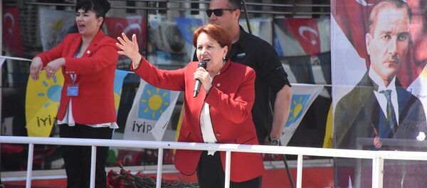 İYİ Parti Genel Başkanı Meral Akşener - Sputnik Türkiye