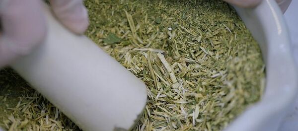 Pelemir - Sputnik Türkiye