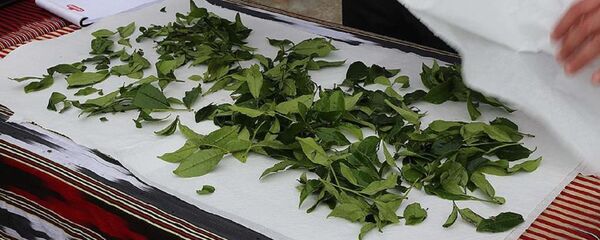 Çay, ÇAYKUR - Sputnik Türkiye