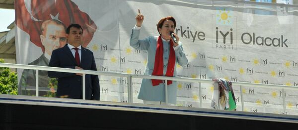 İYİ Parti Genel Başkanı Meral Akşener - Sputnik Türkiye