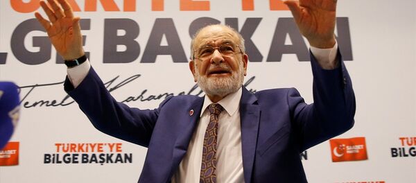Temel Karamollaoğlu - Sputnik Türkiye